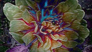 Vibrant Flower