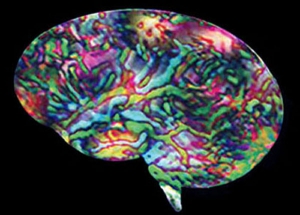 Human Brain Digital Art