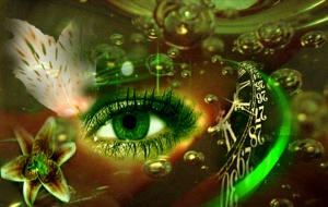 levels of consciousness