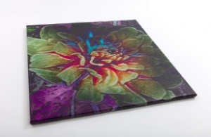 vibrant flower canvas prints